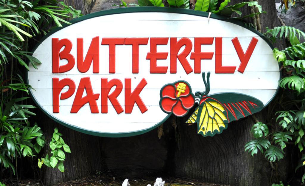 Butterfly Park and Insect Kingdom