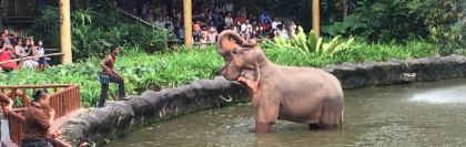 Singapore Zoo