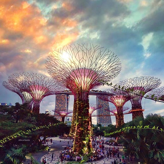 Gardens by the Bay & OCBC Skyway (Ultimate Drive Collection)