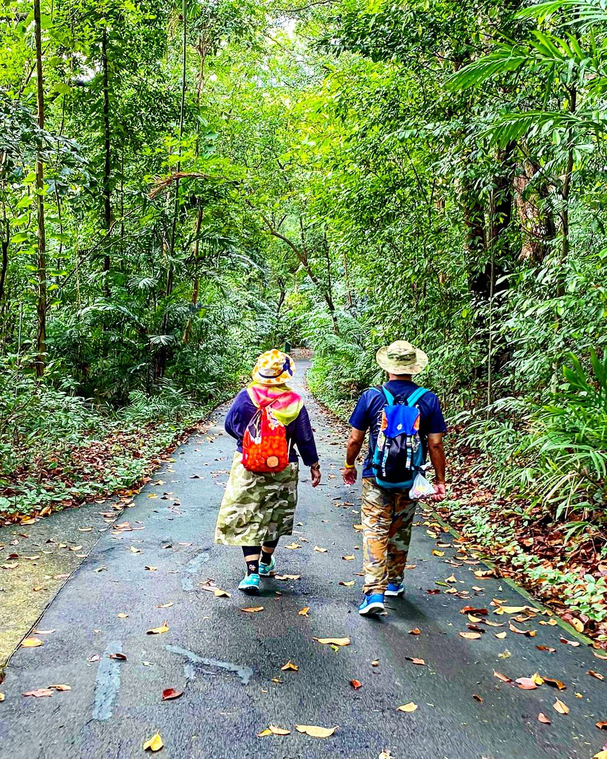 SG Walk : Southern Coastal Trail by X-Trekkers