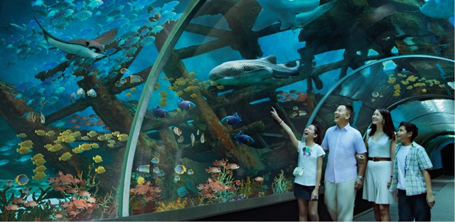 S.E.A. Aquarium VIP Tours